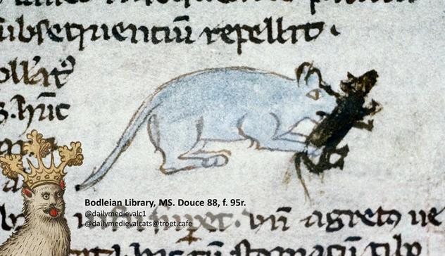 Picture from a medieval manuscript: A blue cat eating a rat