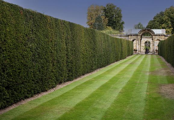 A long, straight path with neatly trimmed hedges on either side and a freshly mowed lawn, leading to an arched stone structure.