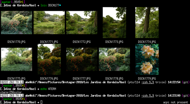 A screenshot of an xterm running zsh showing 10 thumbnails of photographs from Jardins de Kerdalo including their file names inside the terminal and then the output of the command "echo $TERM": "xterm-256color".