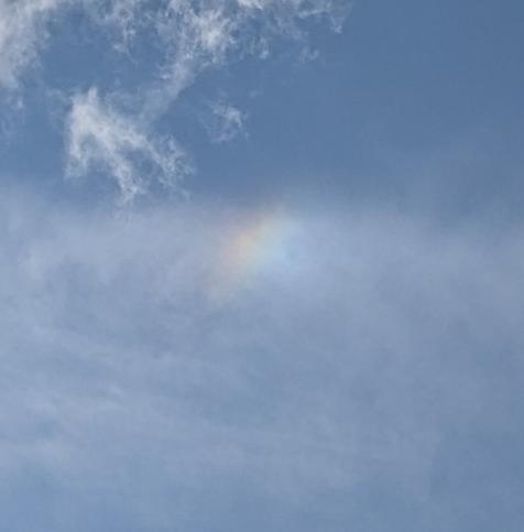 A zoomed in image of what I could see.