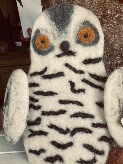 Owl (non target species)