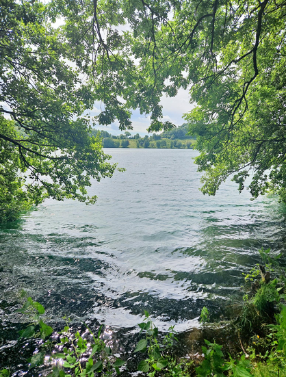 Blick auf eines der drei Dauner Maare.