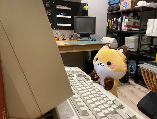 fox handpuppet at a keyboard, looking at a comparatively big monitor in front of it
