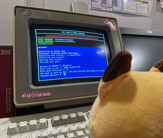 view from behind the puppet, showing the screen. a textmode window titled "GAY IDIOT'S ACCESS TERMINAL" is onscreen, with a keymashed username entered. fake remote login text follows