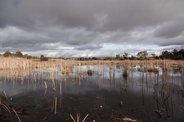Photo of water surrounded by marsh and with scattered reeds and dark grey clouds over head.