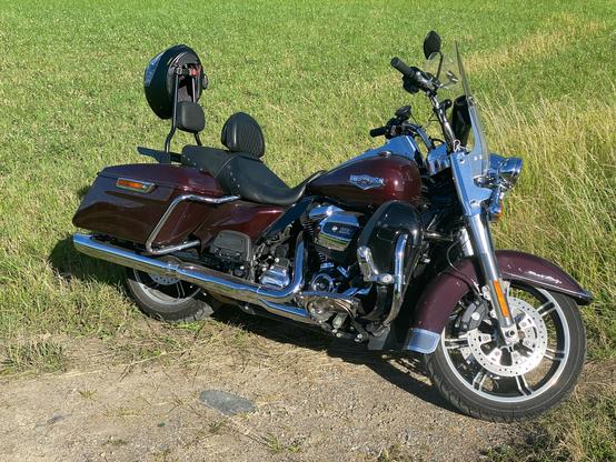 Photo of a dark red large motorcycle standing on a field of grass.