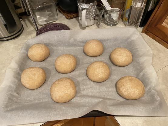 eight risen bagel dough balls on parchment paper