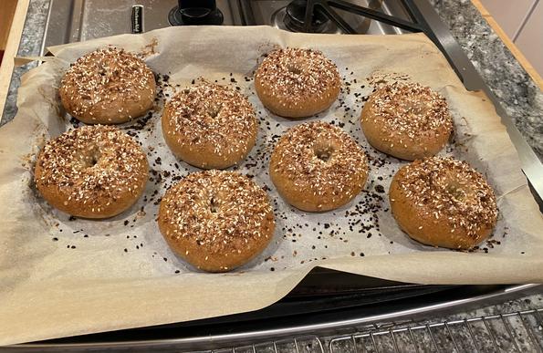 eight two-thirds-of-everything bagels with half whole wheat and half bread flour out of the oven and sitting on parchment paper about to be moved to cooling racks