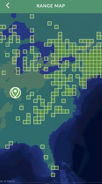 A range map from the Seek App - which is what I used to identify this.