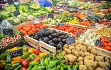 Conférence sur une Sécurité Sociale de l'Alimentation à Lodève