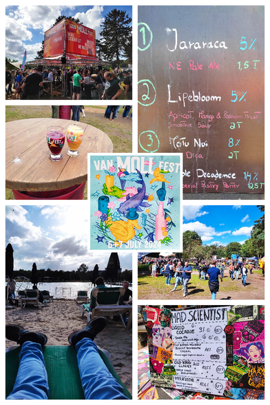 A collage of 8 pictures with impressions from the Van Moll Fest 2024 in Eindhoven, The Netherlands