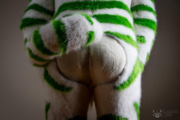 Butt-shot of a white tiger fursuit with green stripes. The butt fur is shaved shorter than the rest of the suit, highlighting its shape. He holds his tail out of the way for a clear view.