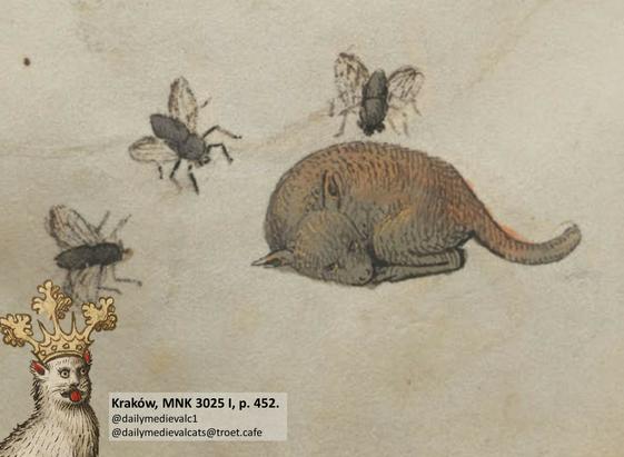 Picture from a medieval manuscript: A sleeping cat is annoyed by giant flies