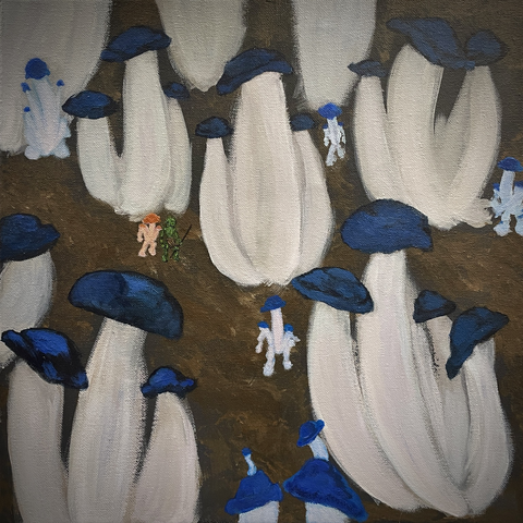 Pleurotos Ostreatos - spaceseer