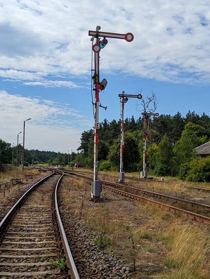 Trzy semafory kolejowe stoją między torami.