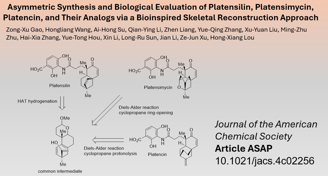 Asymmetric Synthesis and Biological Evaluation of Platensilin, Platensimycin, Platencin, and Their Analogs via a Bioinspired Skeletal Reconstruction Approach by Zong-Xu Gao, Hongliang Wang, Ai-Hong Su, Qian-Ying Li, Zhen Liang, Yue-Qing Zhang, Xu-Yuan Liu, Ming-Zhu Zhu, Hai-Xia Zhang, Yue-Tong Hou, Xin Li, Long-Ru Sun, Jian Li, Ze-Jun Xu, Hong-Xiang Lou
Journal of Chemical Society Article ASAP 10.1021/jacs.4c02256