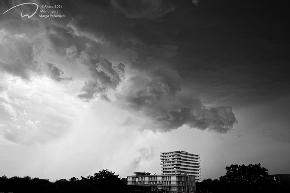 Dark clouds come rolling in over the trees and some high apartment buildings.