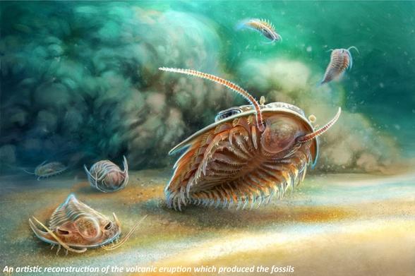 image - An artistic reconstruction of the volcanic eruption which produced the trilobite fossils