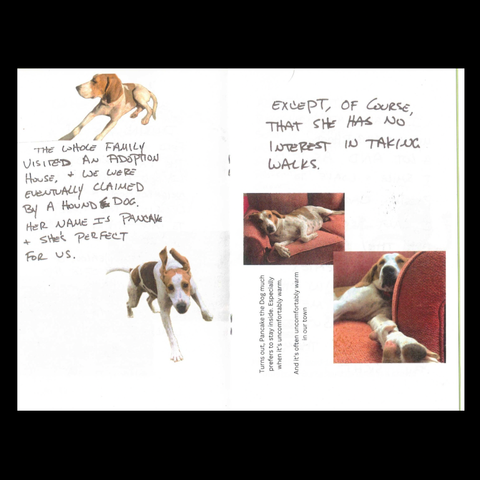 Internal spread showing pictures of Pancake the Dog looking active and also sleeping on a couch. This is part of the zine that talks about how Pancake is not interested in walking when it’s hot… which is most of the time.”
