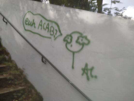 a green grafiti  on a wall beside a stair. a very simple guy with flowery eyes asking "hm ACAB ?". Someone write "Oui/Yes" below
