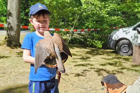 Das Foto zeigt einen Jungen, auf dessen linken Arm ein Greifvogel sitzt. Das Foto wurde im Rahmen des Tages der offenen Tür der Veterinärmedizin der Freien Universität gemacht. 
Bildnachweis: Friederike Grasse