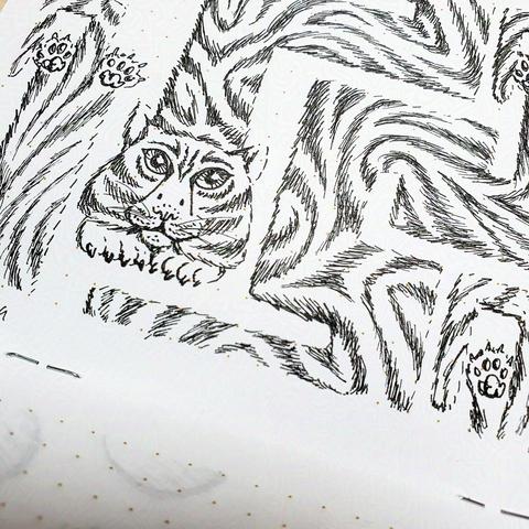 Close-up