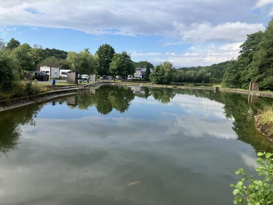 Blick über einen Angelteich mit Wald und ein paar Gebäuden im Hintergrund
