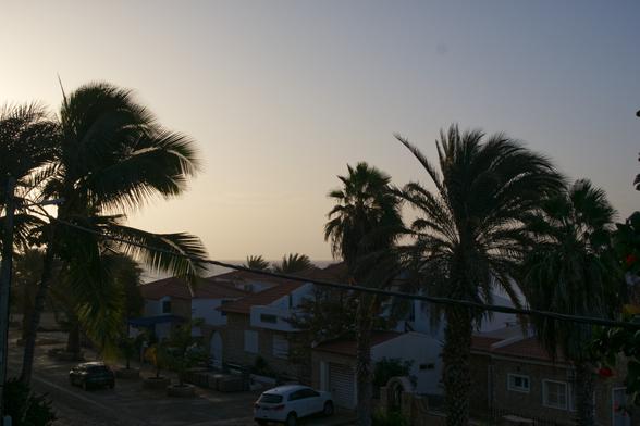 Palm trees and houses standing dark against the sunset sky, the ocean forms the distant skyline