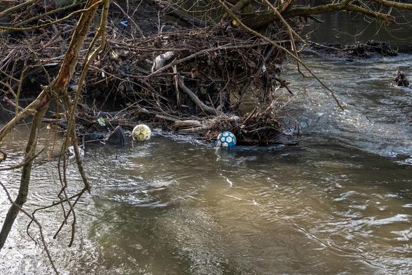 Two footballs float on the water next to where logs and sticks of various sizes have built up in a river.