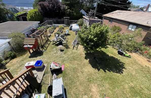 A .5 wide shot of our backyard. It is quite long covered mostly in grass. There is a medium size hazelnut tree just to the right of center. There are various tools and other household items around the yard as I move things around. A small chicken coop is to the left. Some stairs go up to the deck from a cement landing in the bottomleft corner.
