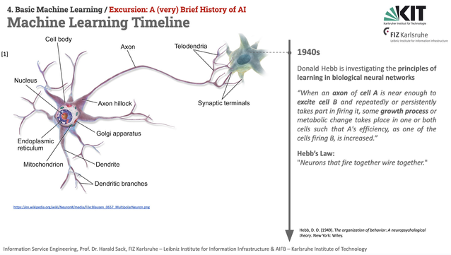 Slides from the Information Service Engineering 2024 Lecture, Basic Machine Learning 01, Excursion: A (very) Brief History of AI. The slide is showing the sketch of two neurons, connected via dendrites and axons. The text says: 1940s
Donald Hebb is investigating the principles of learning in biological neural networks
“When an axon of cell A is near enough to excite cell B and repeatedly or persistently takes part in firing it, some growth process or metabolic change takes place in one or both cells such that A's efficiency, as one of the cells firing B, is increased.”
Hebb’s Law:
"Neurons that fire together wire together."