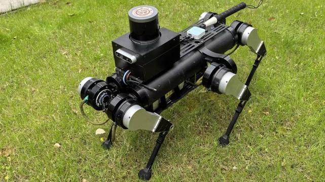 Sechsbeiniger Roboterblindenhund auf einer Rasenfläche