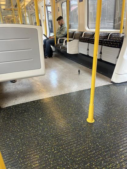 A pied wagtail pictured in a vaguely empty London Underground train carriage