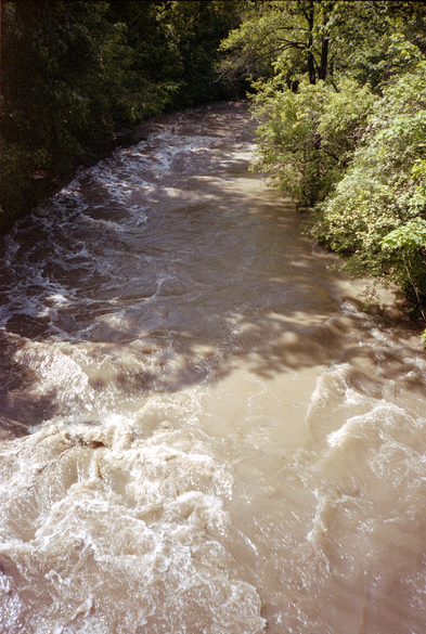Looking down at a surging creek, almost overwhelming its banks with wild muddy water following a storm.