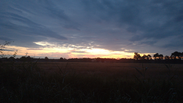 Weide mit Wald am Horizont. Oben mausgraue Wolken. Zwischen Horizont und Wolken heller Himmel in gelb-rosa.
