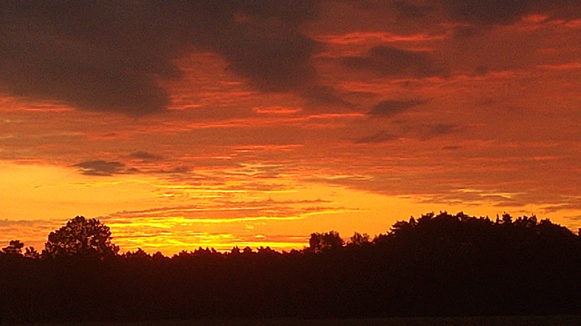 Sich anbahnendeSichr Sonnenaufgang: Oben graurote bis blutrote Wolken. Am Horizont über Bäumen von unten gelb angeleuchtete, schmale Wolkenstreifen.