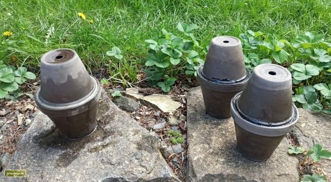 Selbstgebaute Ollas aus unglasierten Tontöpfen