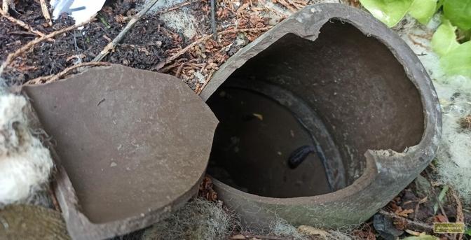 Eine Olla, die beim Erweitern des Lochs mit der Rohrzange gesprungen ist und mit Silikon wieder geklebt werden muss.