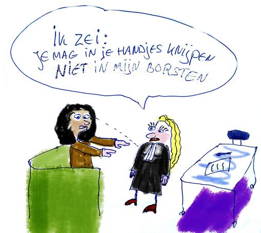 Cartoon van een verdachte met  handen die willen knijpen, reikt naar een juriste.
Tekstballon van juriste: `Ik zei, je mag in je handjes knijpen (niet in mijn borsten)