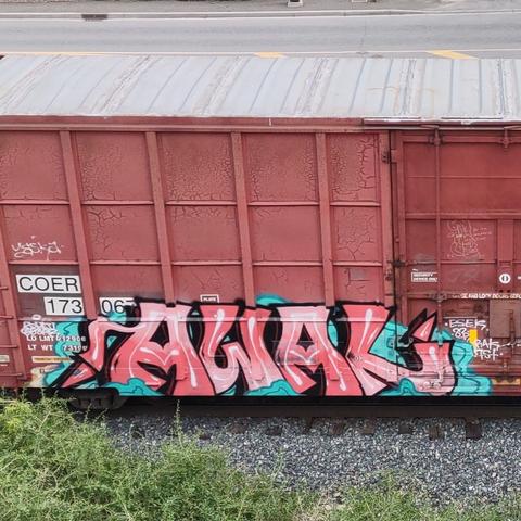 Train car with graffiti rolling through Kamloops BC Canada
