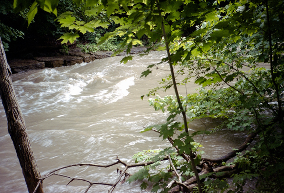 A surging creek passing through green woods. The water is blurred by its motion.