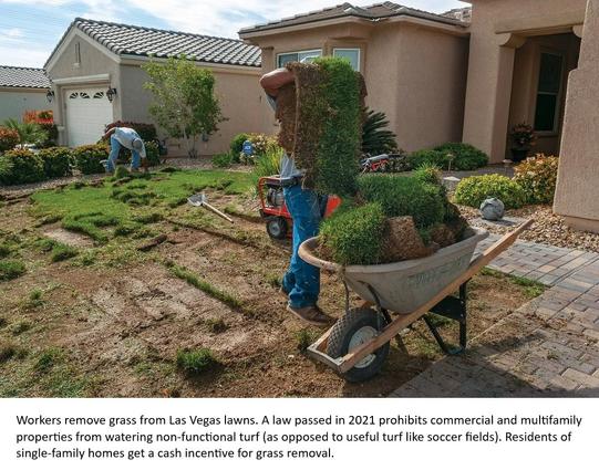 photo - Workers remove grass from Las Vegas lawns. A law passed in 2021 prohibits commercial and multifamily properties from watering non-functional turf (as opposed to useful turf like soccer fields). Residents of single-family homes get a cash incentive for grass removal.
