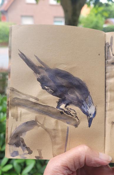 Skizzenbuch mit Aquarellskizze: Rabenvogel auf dem Dach eines Futterhäuschens, schaut hinunter