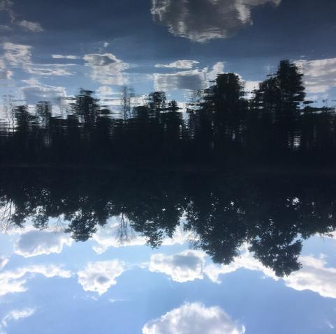 A picture of trees in silhouette, leading up to a bright blue sky with white-gray clouds.  This scene is visible on the other side of the Delaware River in such a way that half the picture is the trees, sky and clouds and the other half is their reflection in the river.  The picture is inverted, showing the reflection half on top (notice the ripples in the water).
