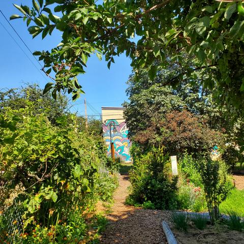 Pathway through the gardens. Large art mural is ahead, on a building, in the background.