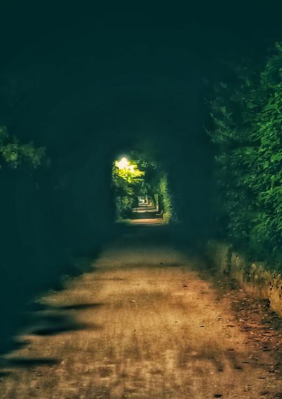 Walkway at night with flanking hedges on both sides, in the distance another streetlight illuminates the scene, giving it a hazy dreamlike appearance