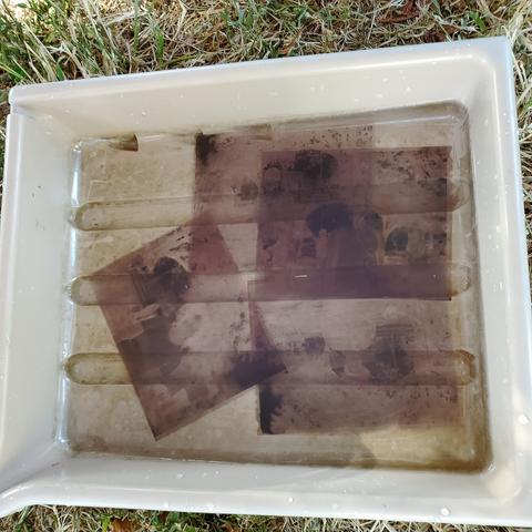 4 X 5 analogue photo negatives soaking in water in plastic white tray