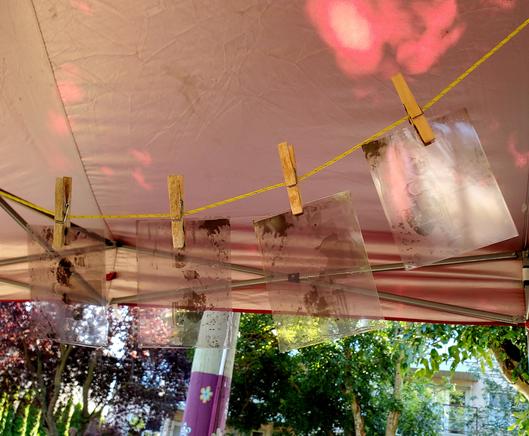 4 analogue photo negatives, hung up by wooden clothes pegs, on a thin yellow rope under event tent.