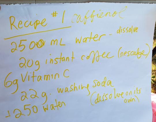 Recipe #1 Caffienol

250mL water - dissolve 20g instant coffee(Nescafe)
6g Vitamin C
22g washing soda (dissolve on its own)

Mix all of the above together to create the photo developing solution.