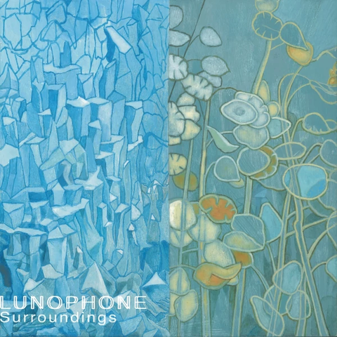 Lunophone — Surroundings album cover